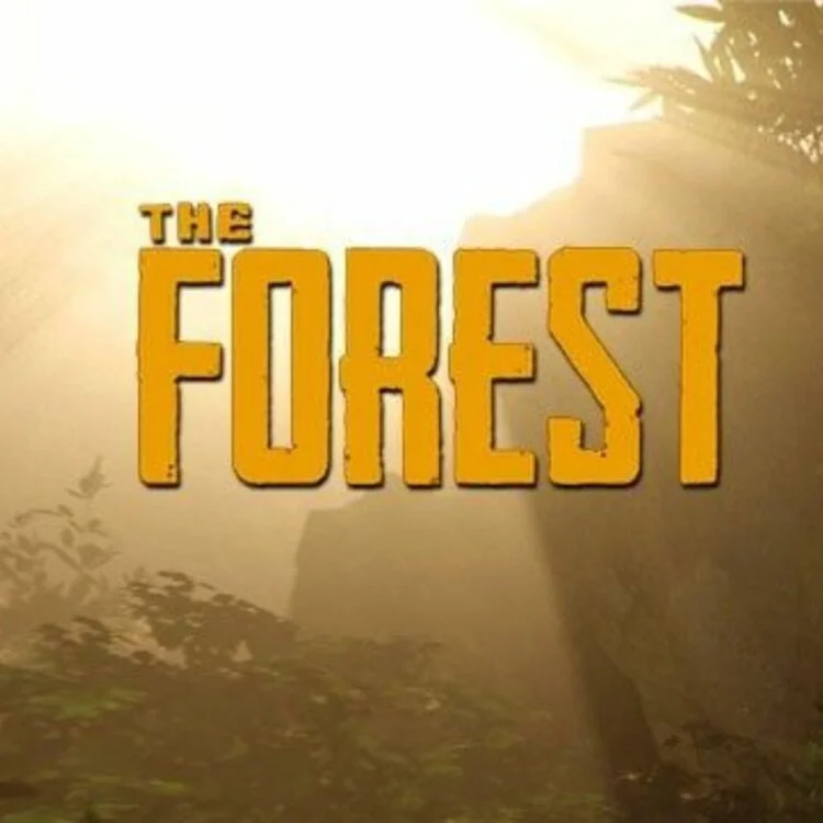 Survive In The Forest